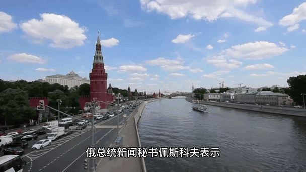 如何以和平的方式解决天下热点话题?关注全球动态,11月8日事件解读